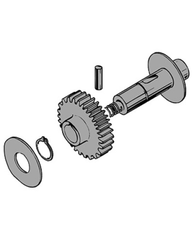 Вал в сборе C100 Came 119RIC011 в Махачкале Запчасти для шлагбаумов и автоматики Pintop.ru