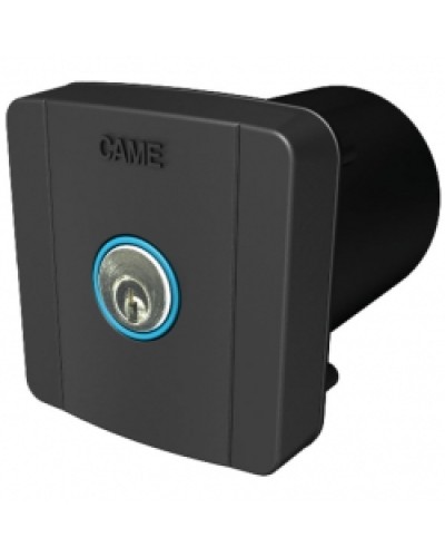 Ключ-выключатель встраиваемый Came 806SL-0020 в Махачкале Запчасти для шлагбаумов и автоматики Pintop.ru