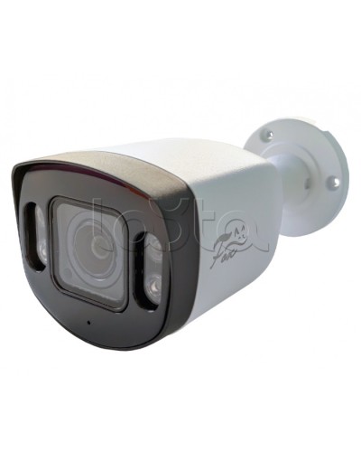 IP-камера видеонаблюдения в стандартном исполнении Fox FX-IPC-C40AP-IR H.265 AI в Махачкале IP-камеры Pintop.ru