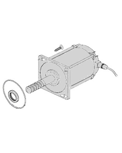 Электродвигатель Came 119RIA025 в Махачкале Запчасти для шлагбаумов и автоматики Pintop.ru