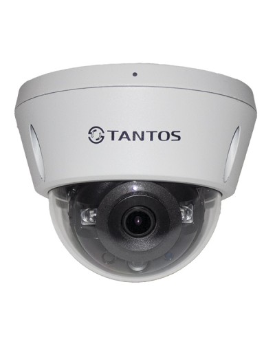 IP-видеокамера в купольном исполнении Tantos TSi-Vn253VZ в Махачкале IP-камеры Pintop.ru
